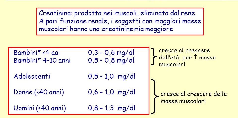 creatinina valori normali