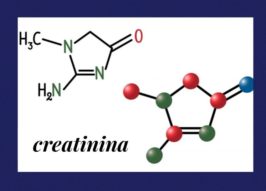 la formula chimica della creatinina