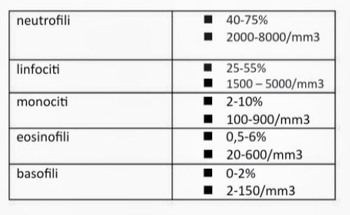 tabella con i valori normali dei globuli bianchi