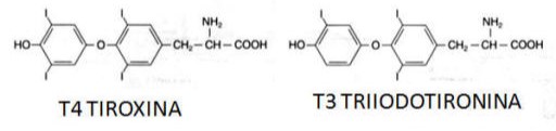ormoni tiroidei